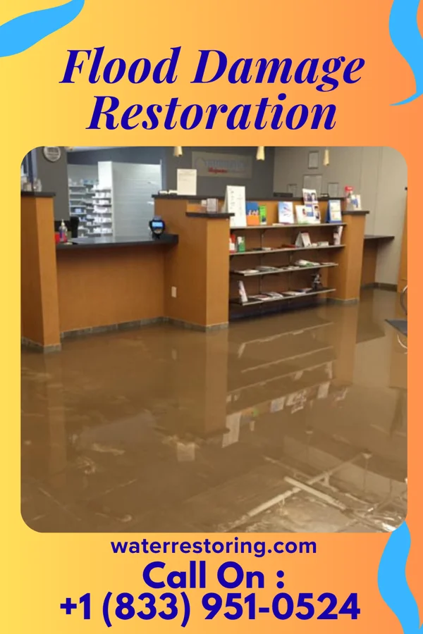 Flood Damage Restoration in Campus, IL